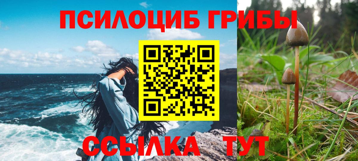 Избербаш  Галлюциногенные грибы MAGIC MUSHROOMS  Галлюциногенные грибы Psilocybe  Вход с VPN 